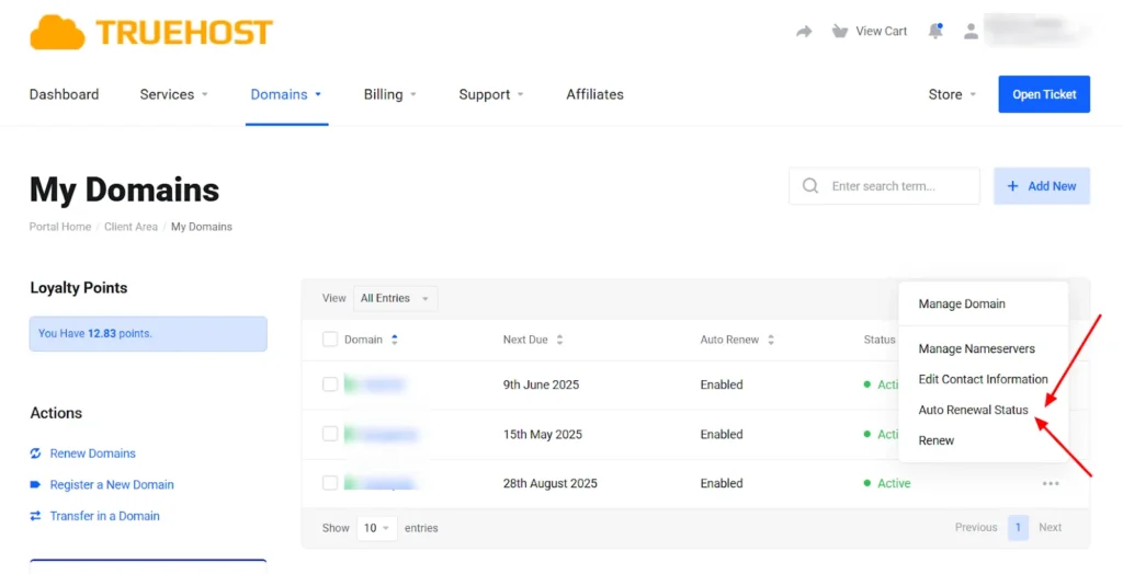 enable automatic domain renewal