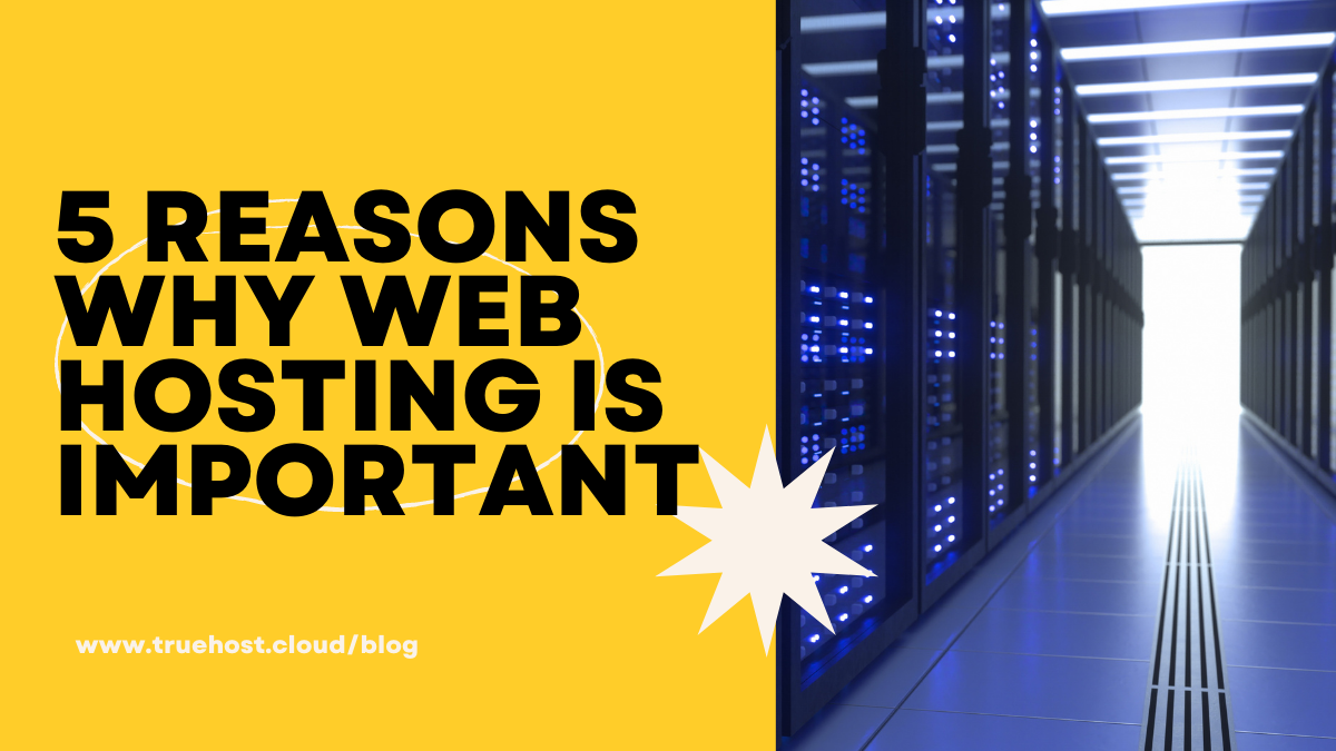 5 Reasons Why Web Hosting is Important