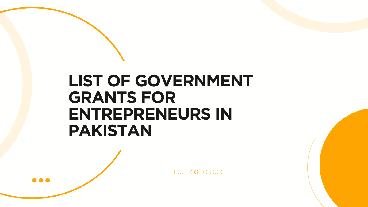 List of Grants for Entrepreneurs in Pakistan (+ Apply) (2024)