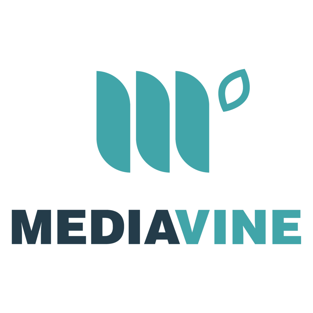 Mediavine in Pakistan