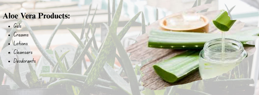 Shows the list of aloe vera products you can sell in Pakistan