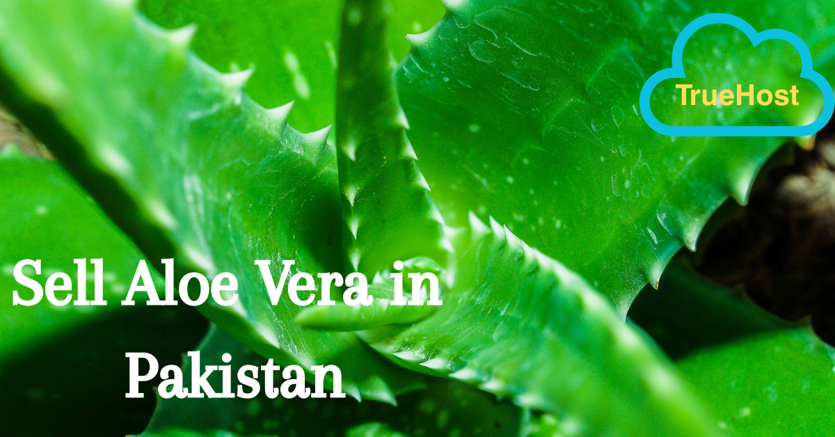 Your Ultimate Guide to Sell Aloe Vera in Pakistan
