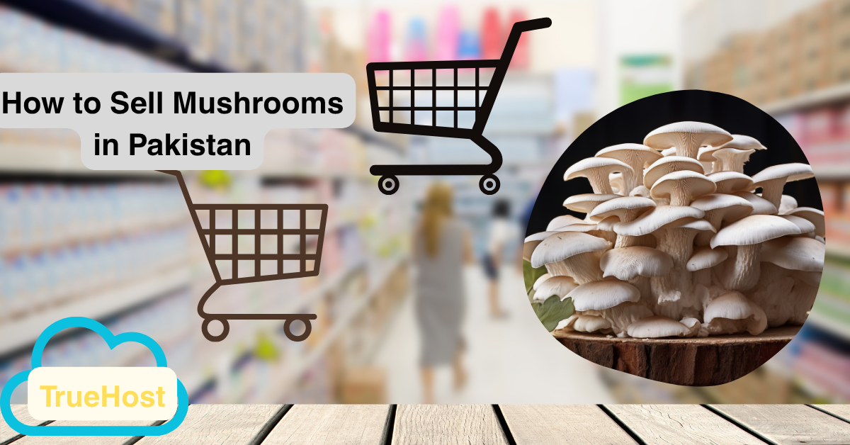 Mushrooms growing in a farm, a woman shopping in a supermarket, truehost logo and the title, How to sell mushrooms in Pakistan