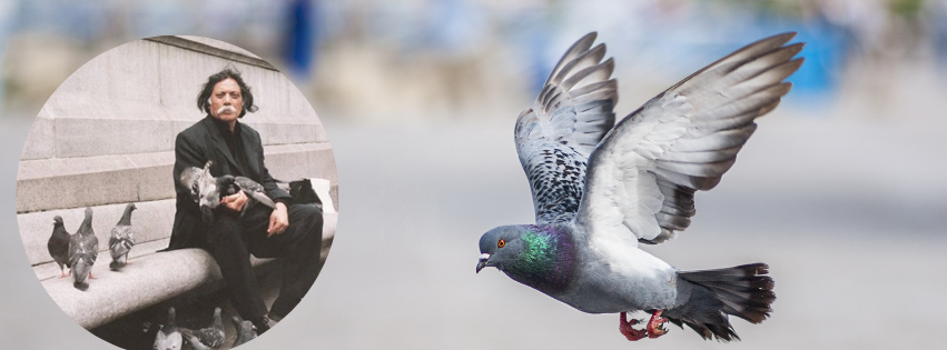 Sadequain's picture and pigeons. One of his best work was a series on pigeons symbolizing peace