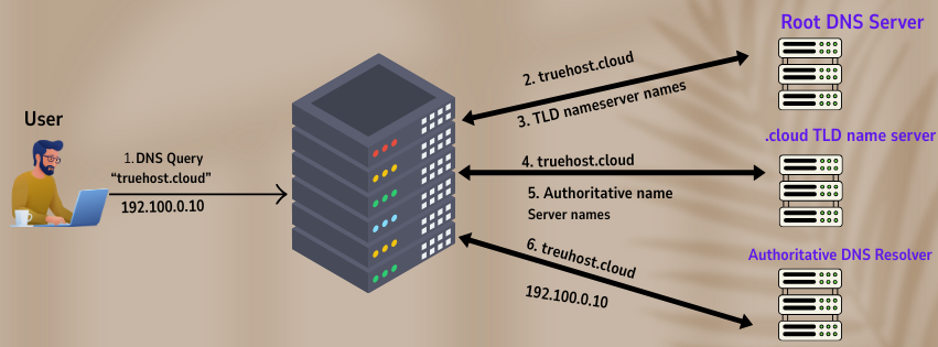 Shows how DNS works, important for web hosting transfer