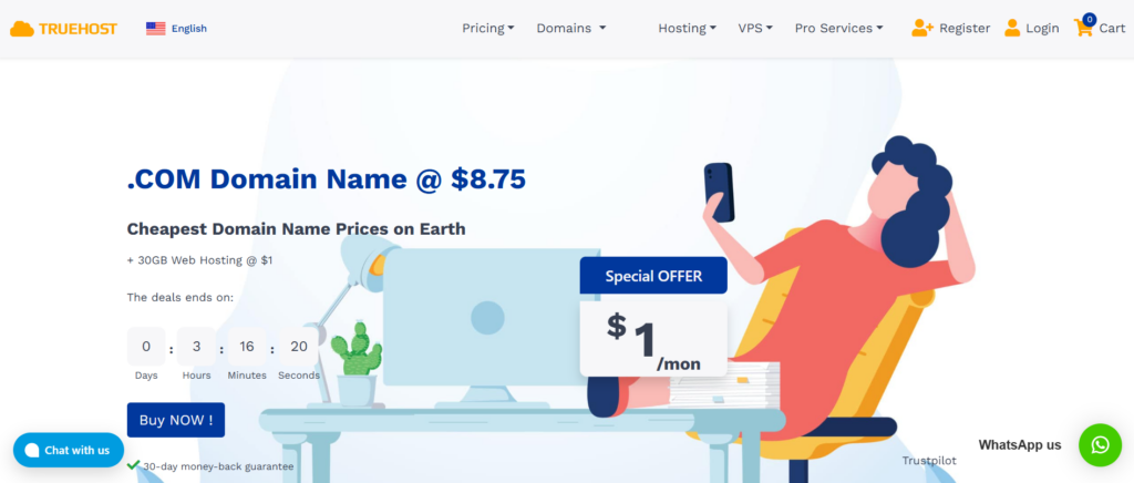 The Truehost homepage, a platform to create websites hence having a platform to create online courses and sell