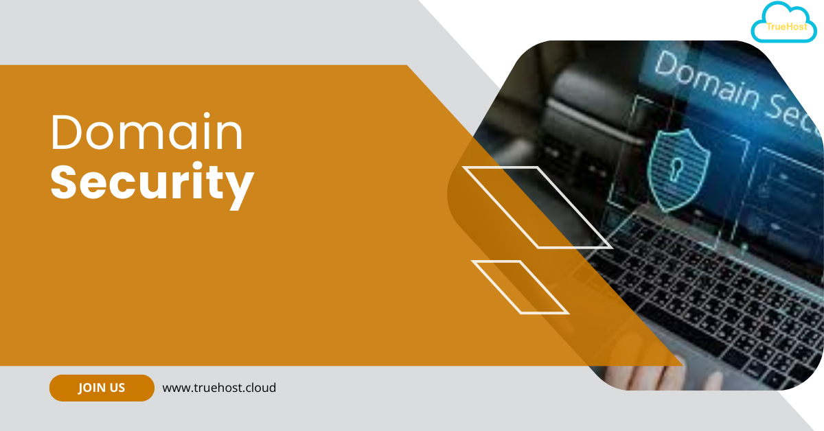 A graphic showing securing a domain, the truehost logo and link and the title domain security