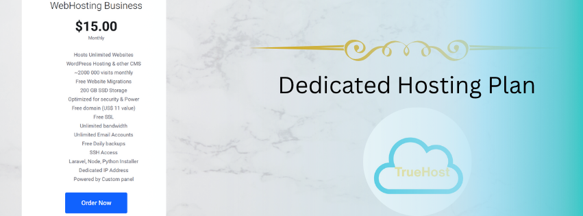 the dedicated server, an alternatie to shared hosting