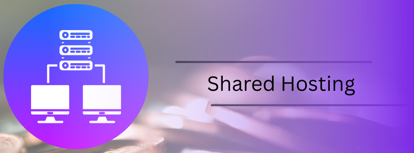 the shared hosting graphic