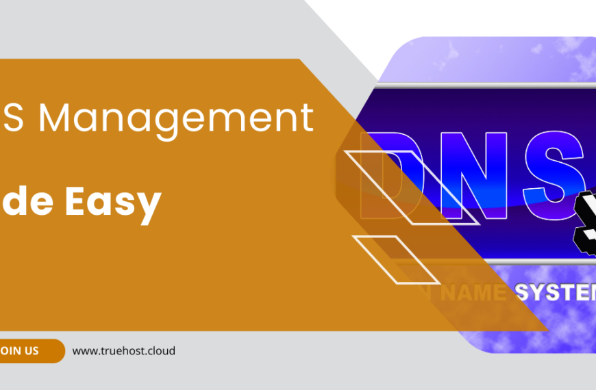 dns management through truehost