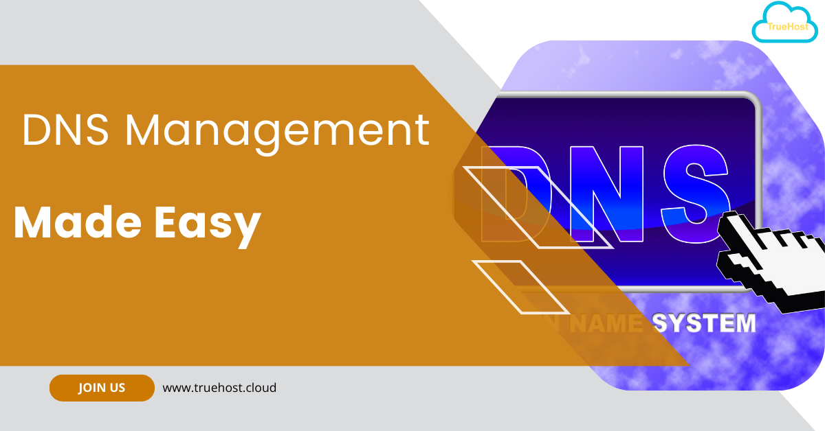 dns management through truehost