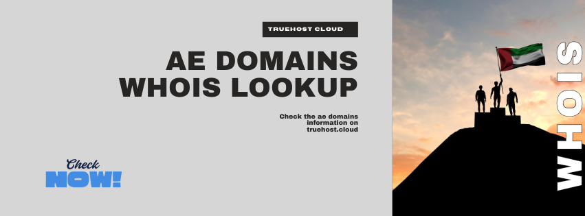 cta to check ae domains information on truehost cloud's whois lookup